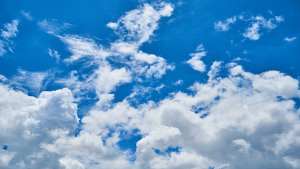 The benefits of part-owning a wind farm