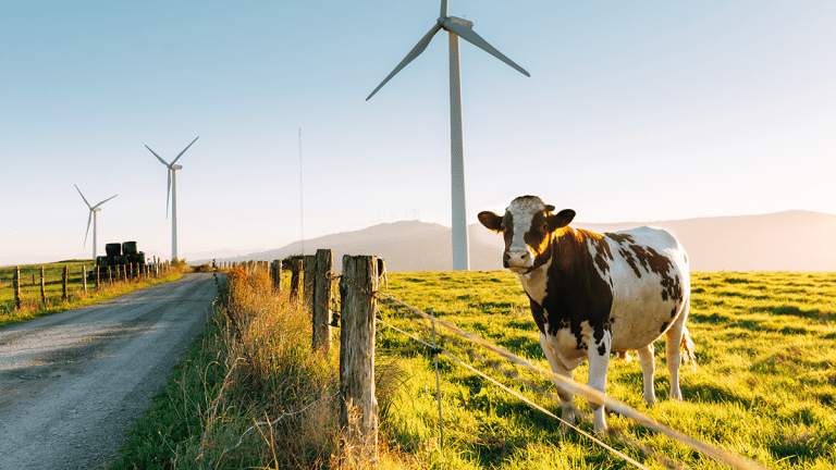 UK’s first consumer owned wind farm launches