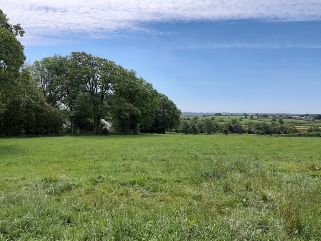 image of green field with grass and trees in background