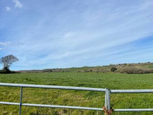 Bridgerule CofE Primary School has come together with Ripple Energy to become a proud part-owner of Derril Water Solar Park 